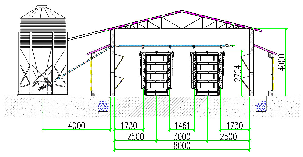 32,000 pullets H4 automatic pullet chicken cage's 