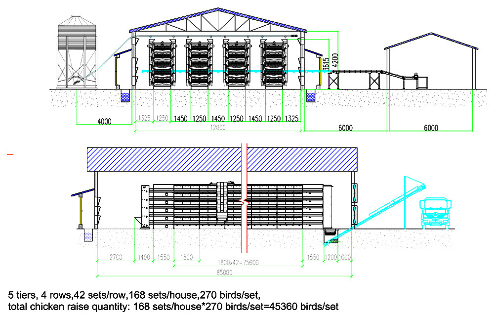 45,360 layers H5 automatic layer chicken cage's ho