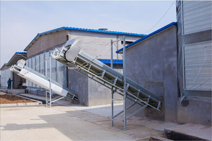 Our company finished breeder project of 50,000 broilers in a single farm with broiler cage and harvesting system