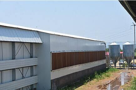 Our company finished layer project of 49,280 laying hens breeding with chicken cage system