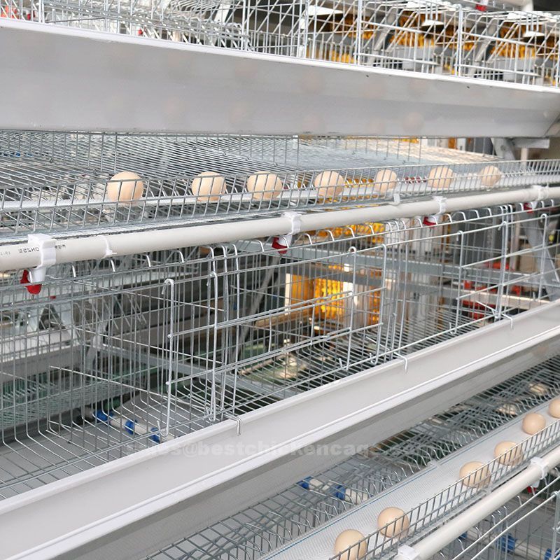 Why is battery cage system important in poultry farming