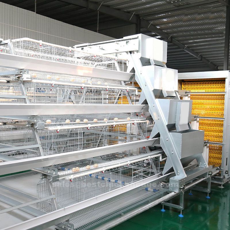 What does a battery cage system do