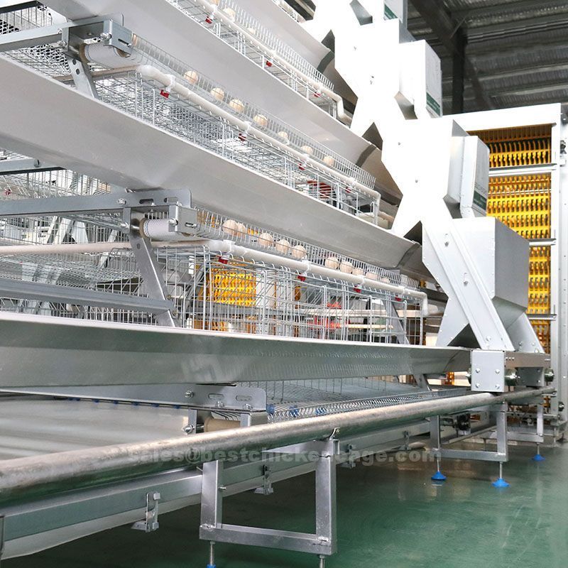 Our company's farm and poultry equpment soloution