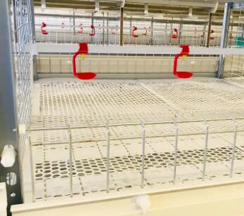 How to make breeder battery cage