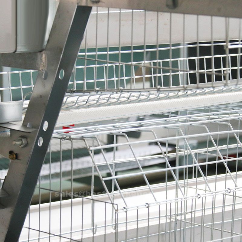 Why you need our company's poultry equipment