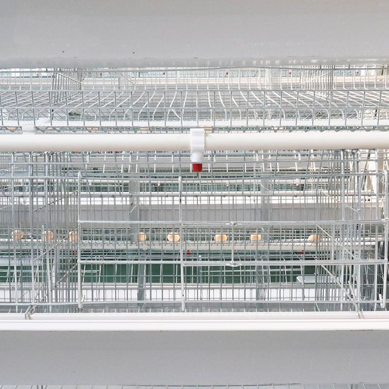 How to make battery cage for broilers