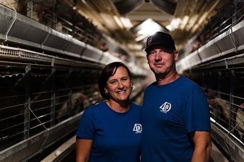 Poultry farming equipment for poultry cage battery cage