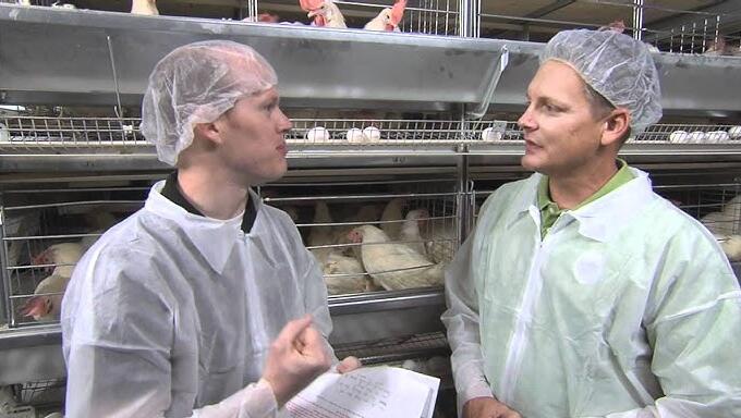 Do you know these on chicken cages