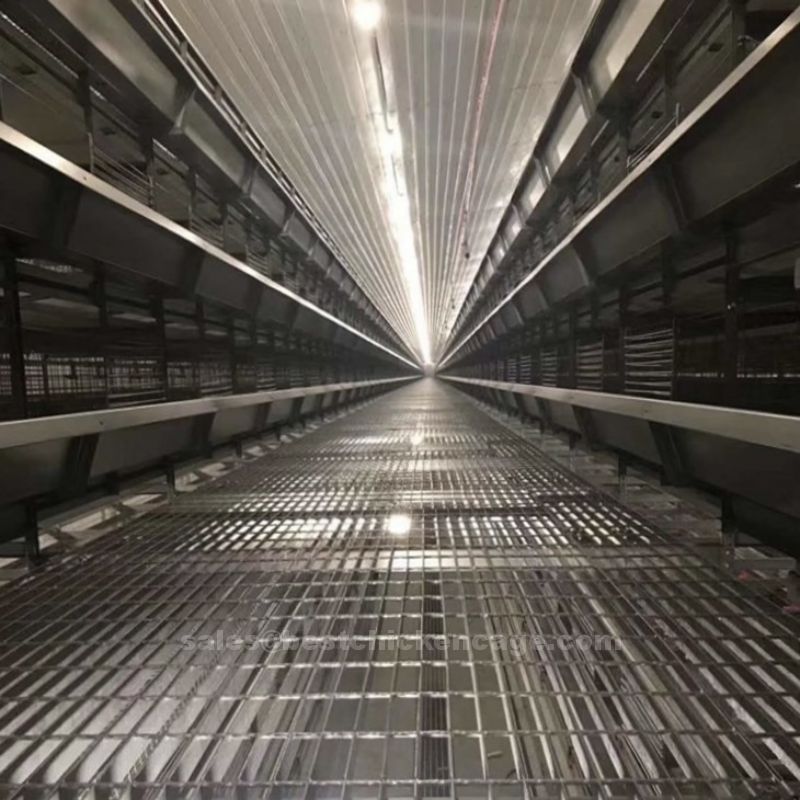Local supplier of h type layer chicken cage of cage is designed with multiple rows and maximizing capacity