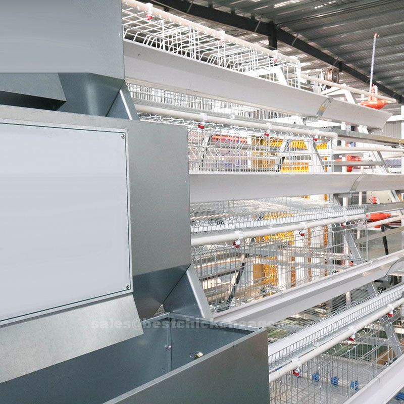 Local made type of a 3 rows 4 tiers battery cage system refers to a specific type of housing system for poultry