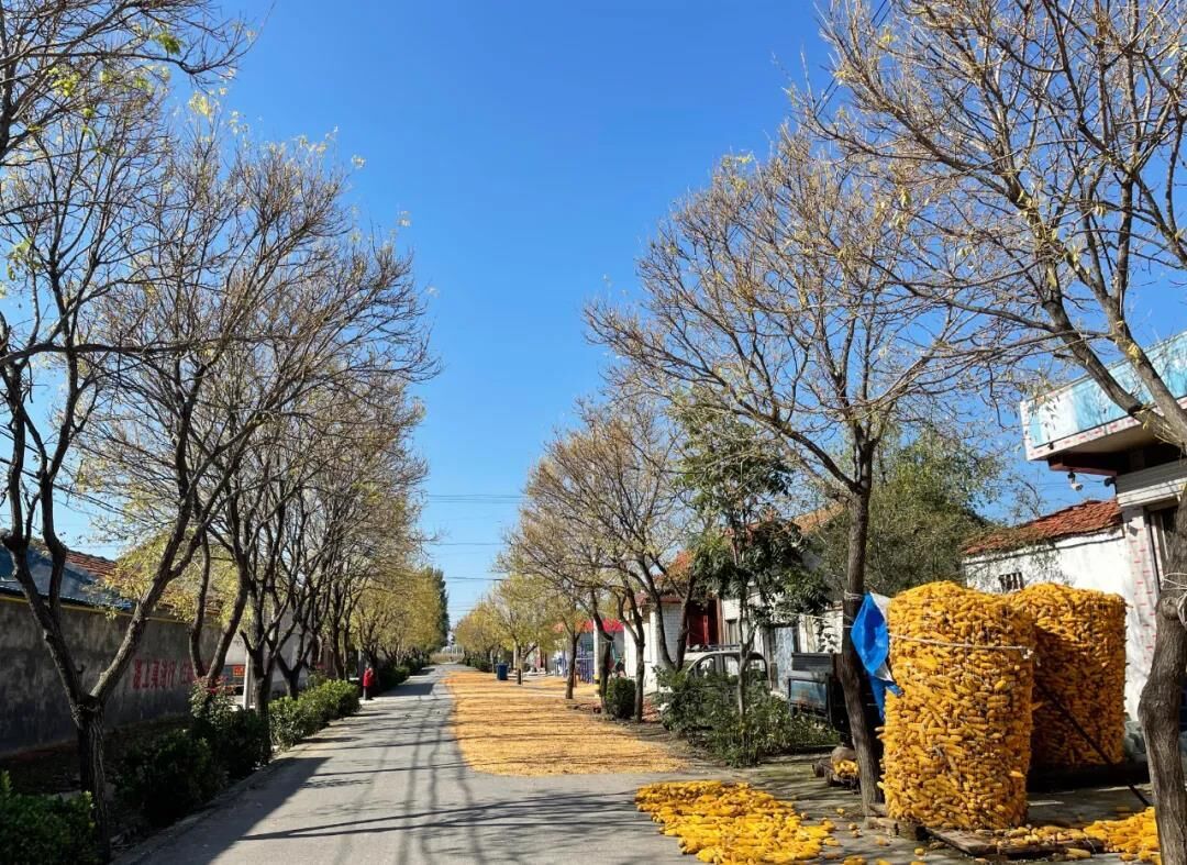 Double Ninth Festival