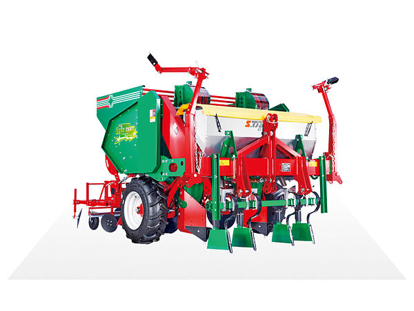 Medium Potato Planter