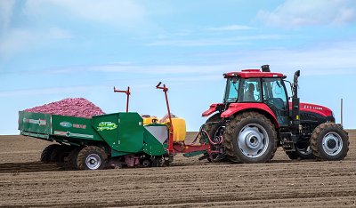 Large Potato Planter