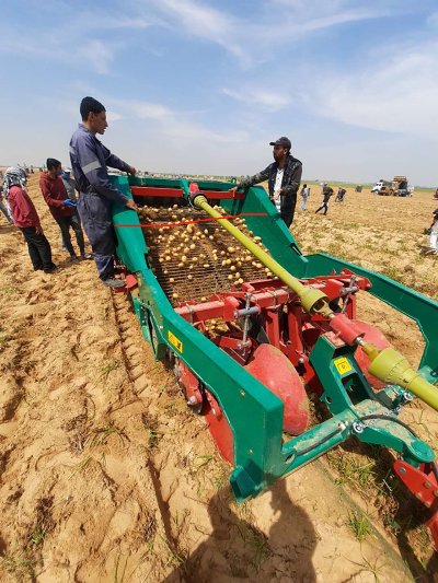 Potato Harvester