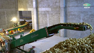 Potato Store Loader