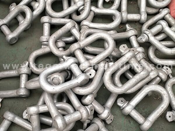 Shackle