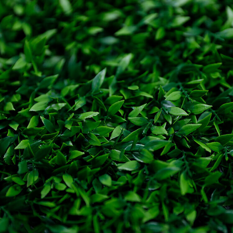 In March 2021, factory fully updated its equipment to be automatic ejection machines. And Automatic generation rate increased to be 100%. In March 2021, factory fully updated its equipment to be automatic ejection machines. And Automatic generation rate increased to be 100%.