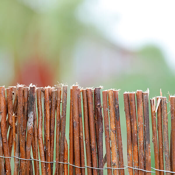 Willow Branch Fence