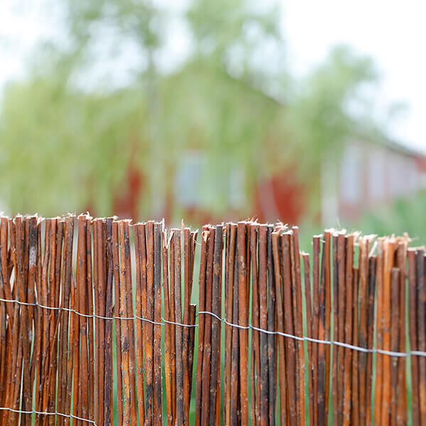 Willow Branch Fence