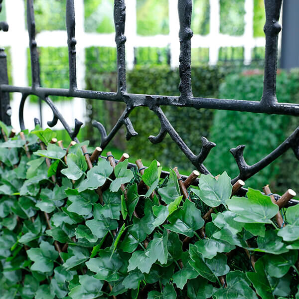 Expandable artificial Ivy leaf trellis