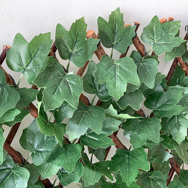 Expandable artificial Ivy leaf trellis