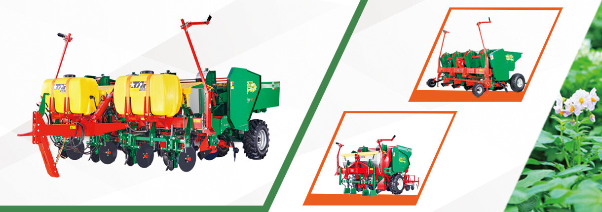 播种系列 - 副本