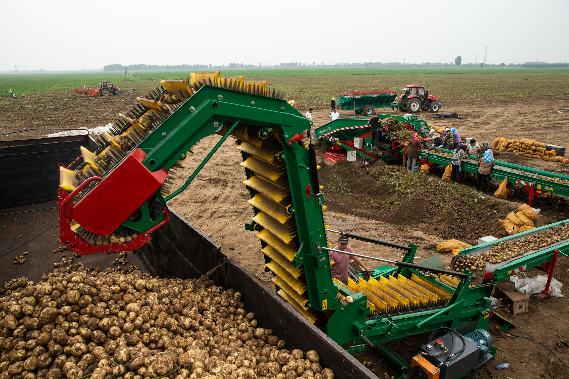  Картофельный загрузочный конвейер