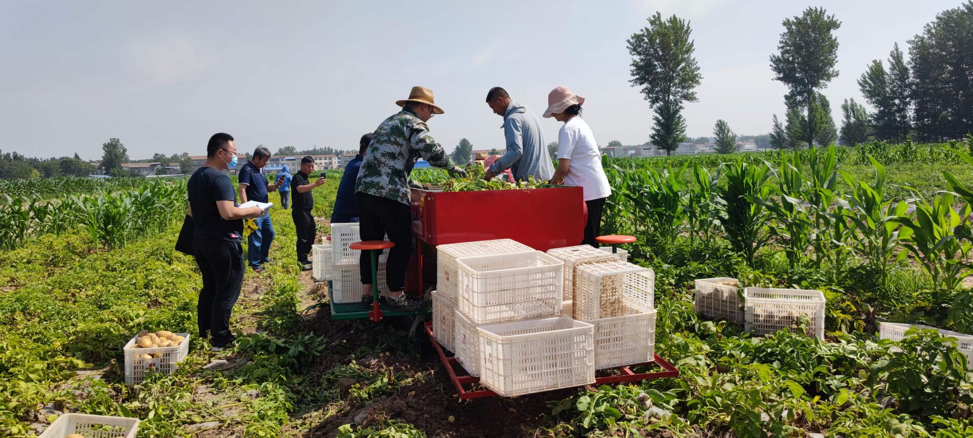 Самоходный зерноуборочный комбайн