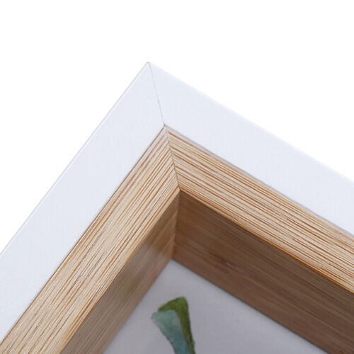 Two-tone color frame