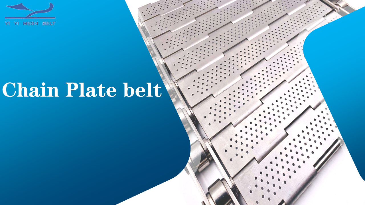 Chain Plate belt