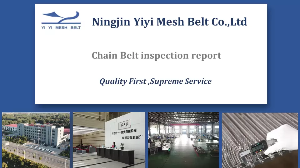 Chain Belt inspection report
