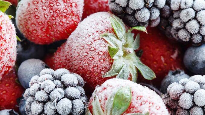 How to choose a metal conveyor belt for IQF freezer tunnel machinery