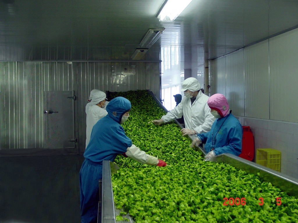 图片无替代文字