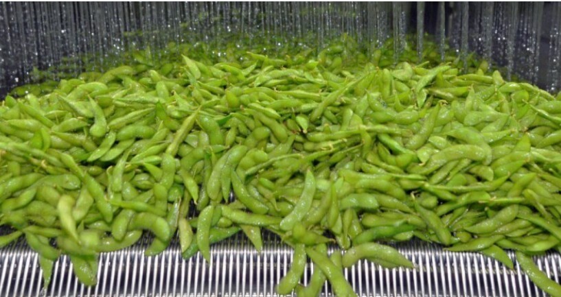 图片无替代文字