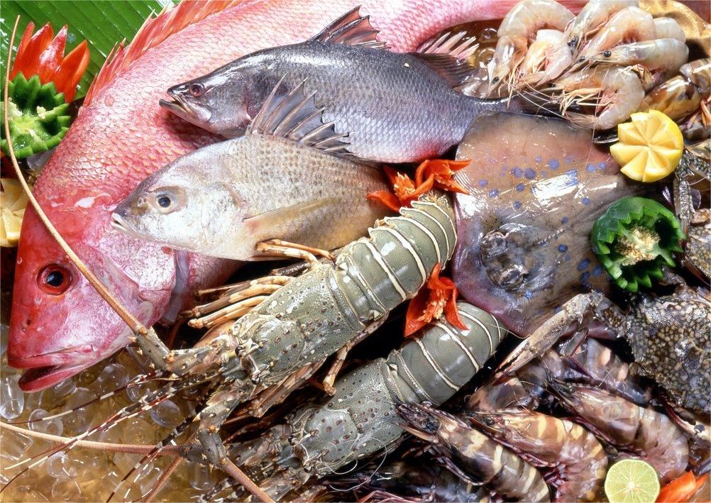 What Type of Metal Mesh Belt Can Be Used for Quick Freezing of Shrimp and Fish