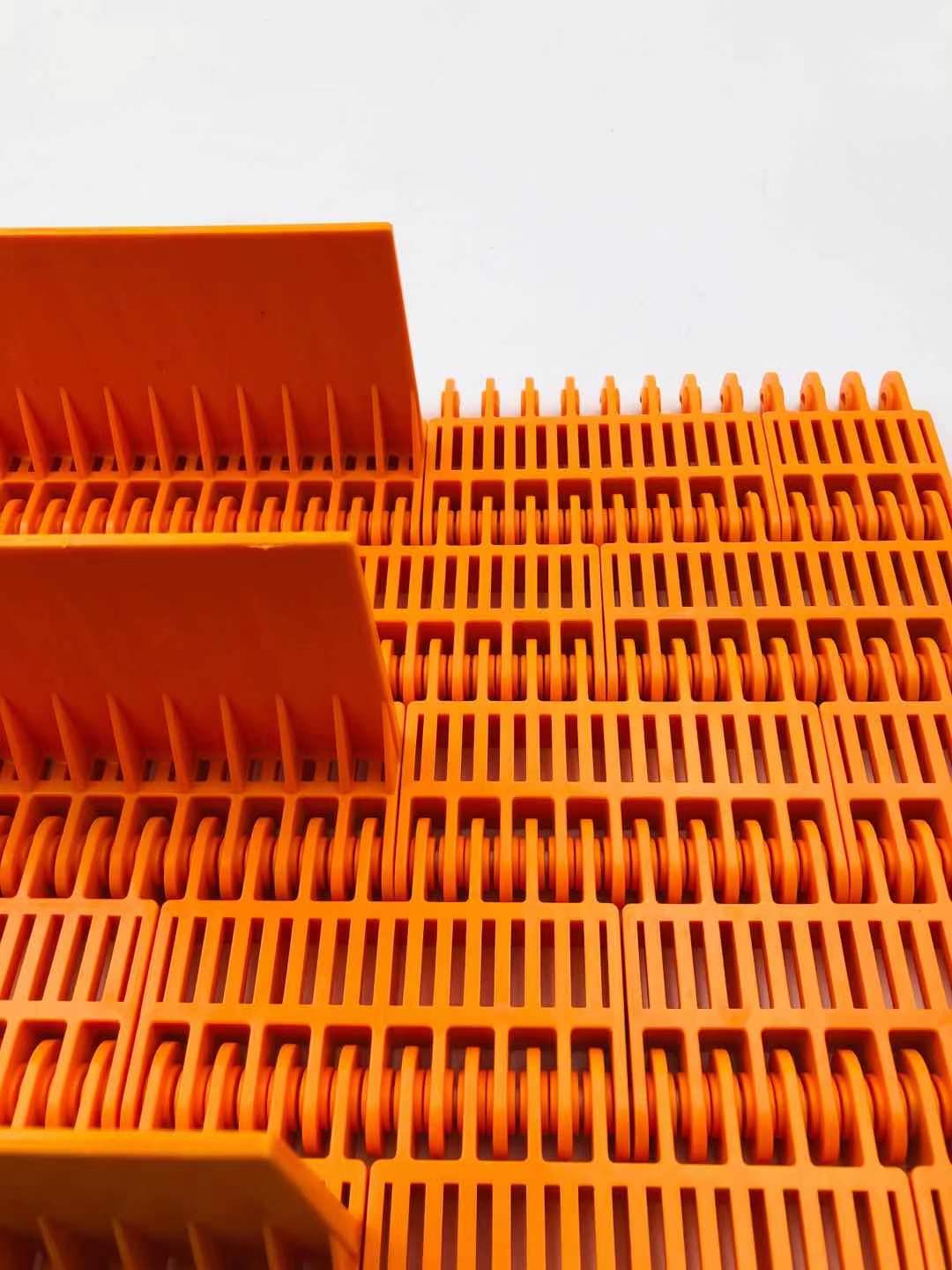 Plastic Modular Belt