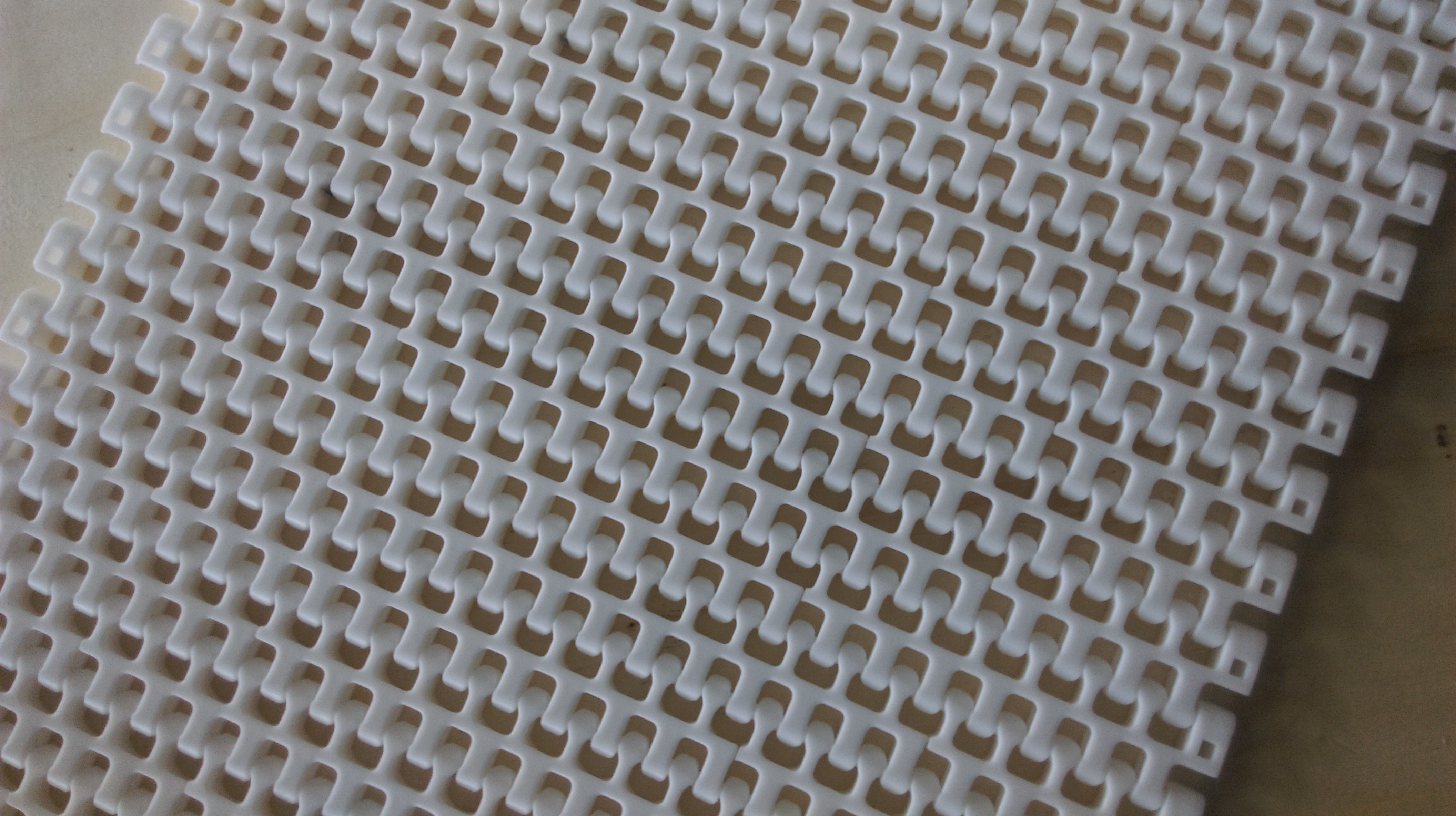 Plastic Modular Belt