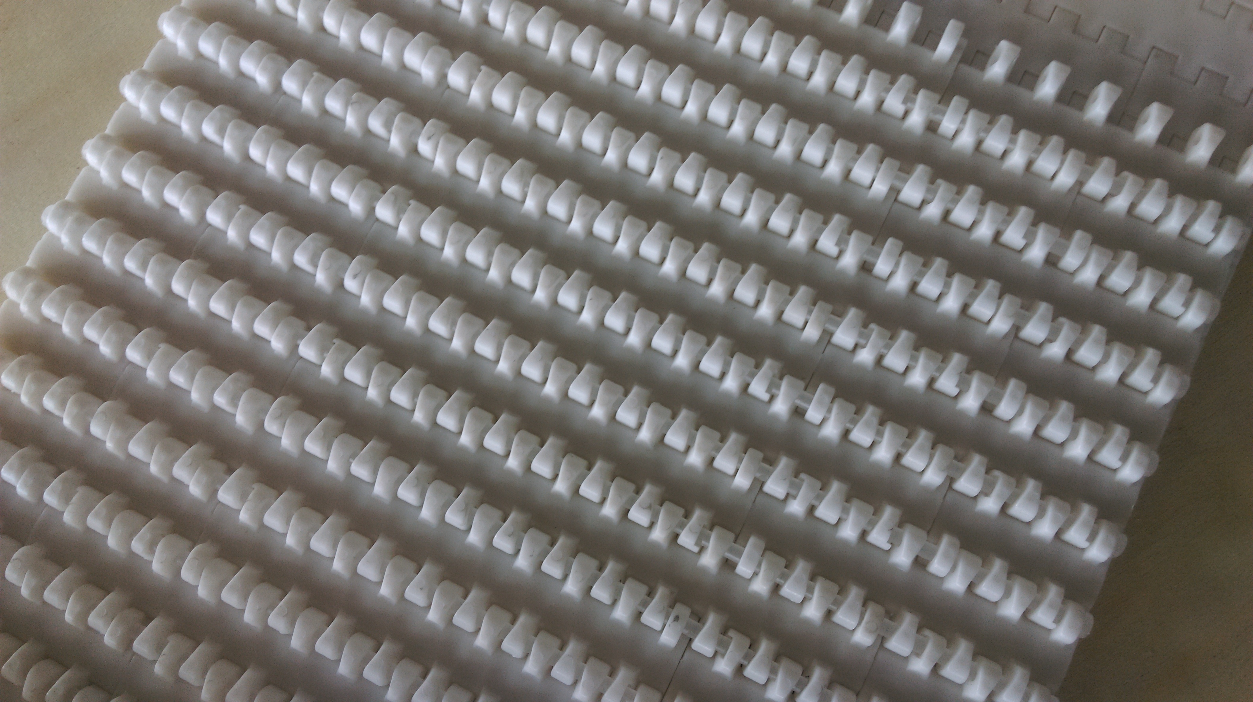 Plastic Modular Belt