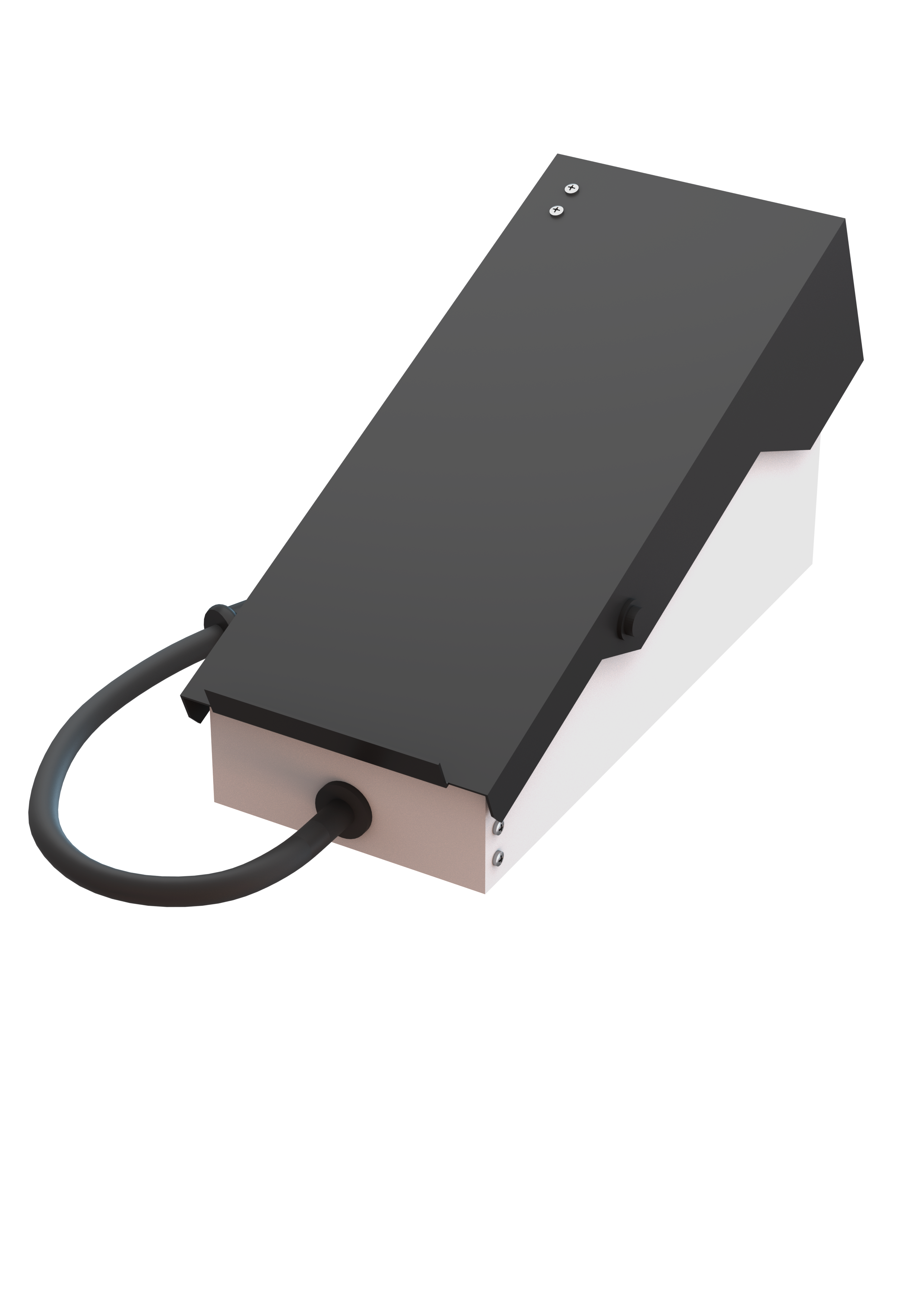 Foot pedal (JTKG-II) FP-II