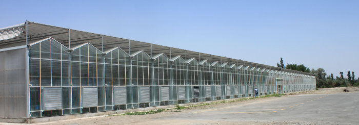 Polycarbonate Sheet