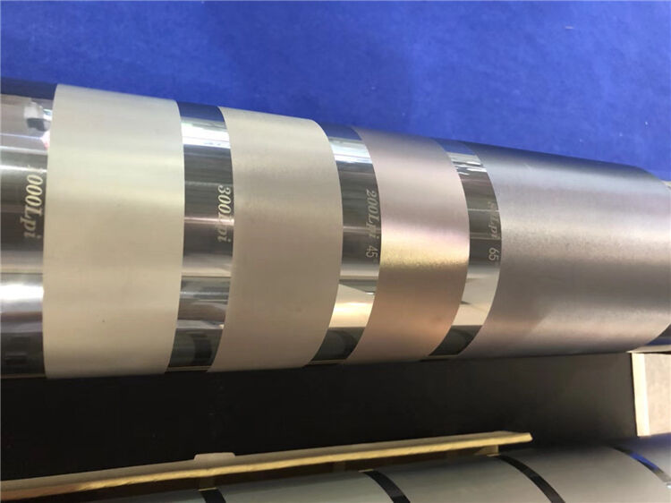 banded roller (2).jpg