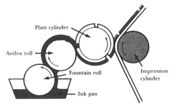 Difference between roto and flexo printing