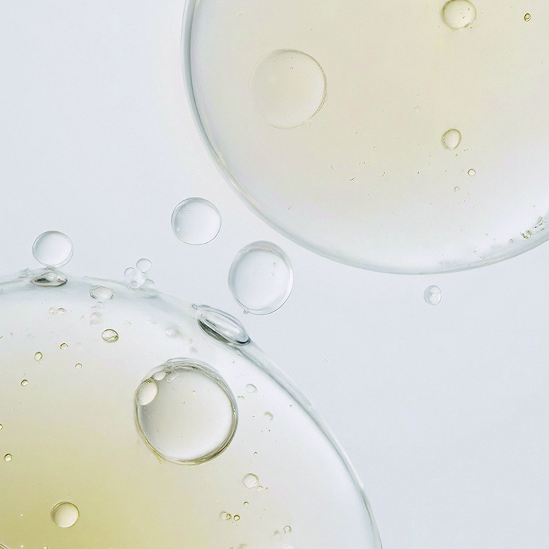 Fermento de Lactobacillus: Un avance científico en el cuidado del microbioma cutáneo Fermento de Lactobacillus: Un avance científico en el cuidado del microbioma cutáneo