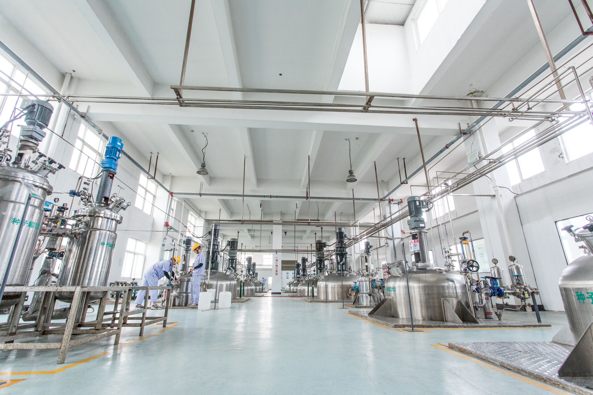 Lushang Freda Pharmaceutical Co., Ltd.