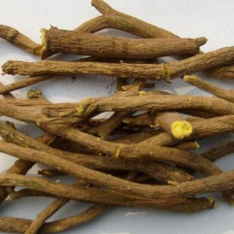 SCUTELLARIA BAICALENSIS