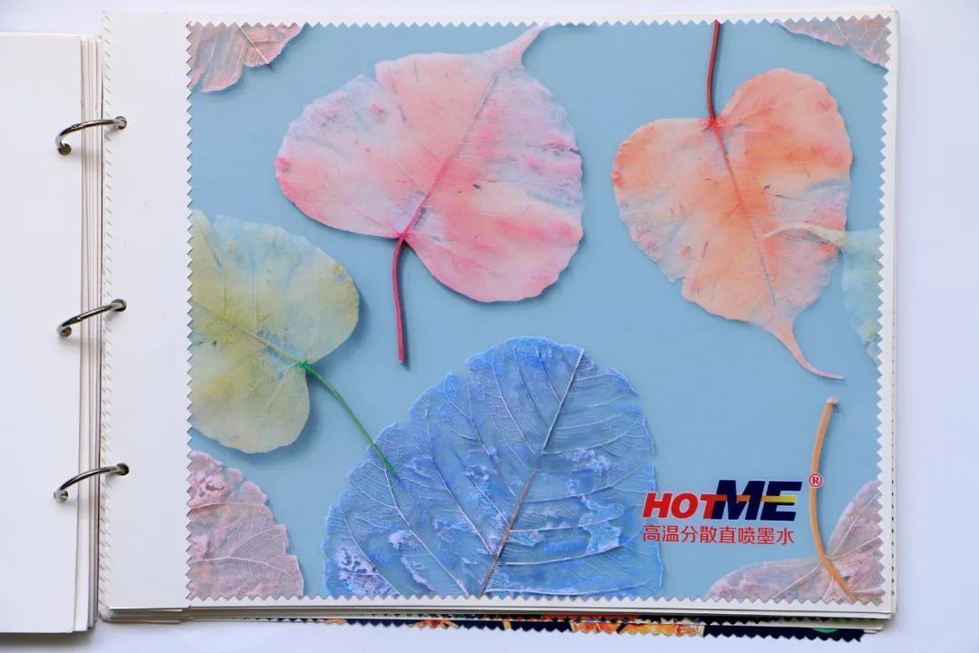 Hongsam disperse dye ink 5.jpg