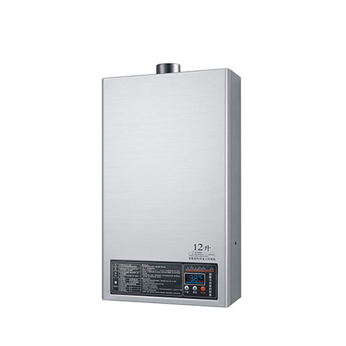 SWF10-B60 household forced flue digital tankless gas water heater