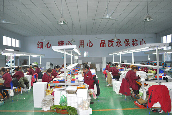 How to choose a good pressure gauge movement?