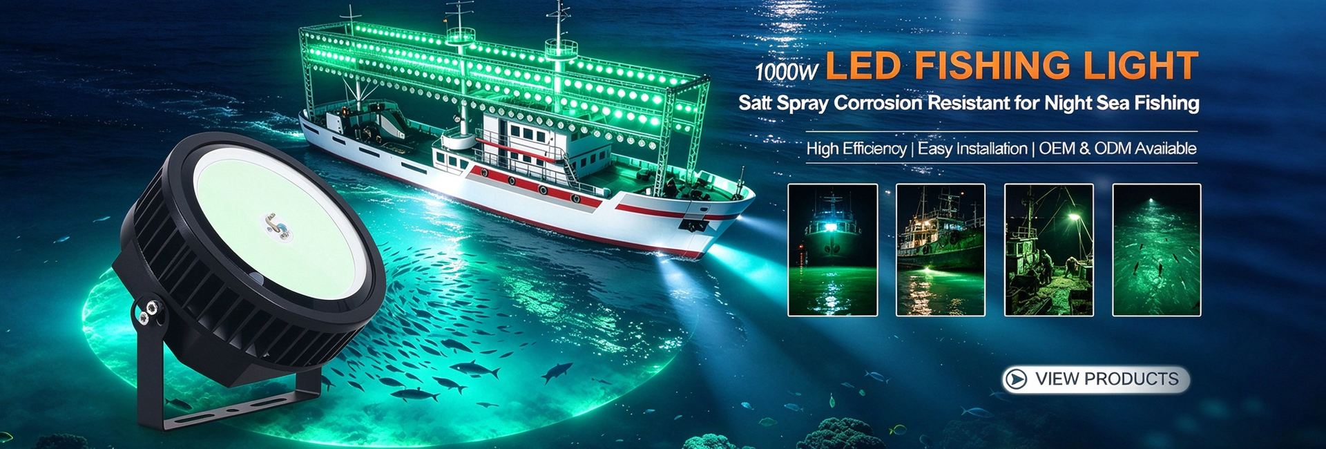 LED Fishing Light 2