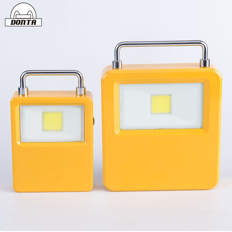 Xiuben Lighting Portable Rechargeable LED Flood Light